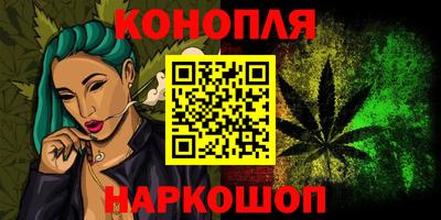 Альфа ПВП Новодвинск
