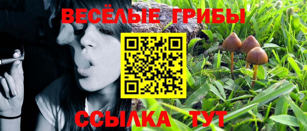 Отрадное  дарнет шоп  Вход с VPN  Галлюциногенные грибы ЛСД  Псилоцибиновые грибы MAGIC MUSHROOMS 