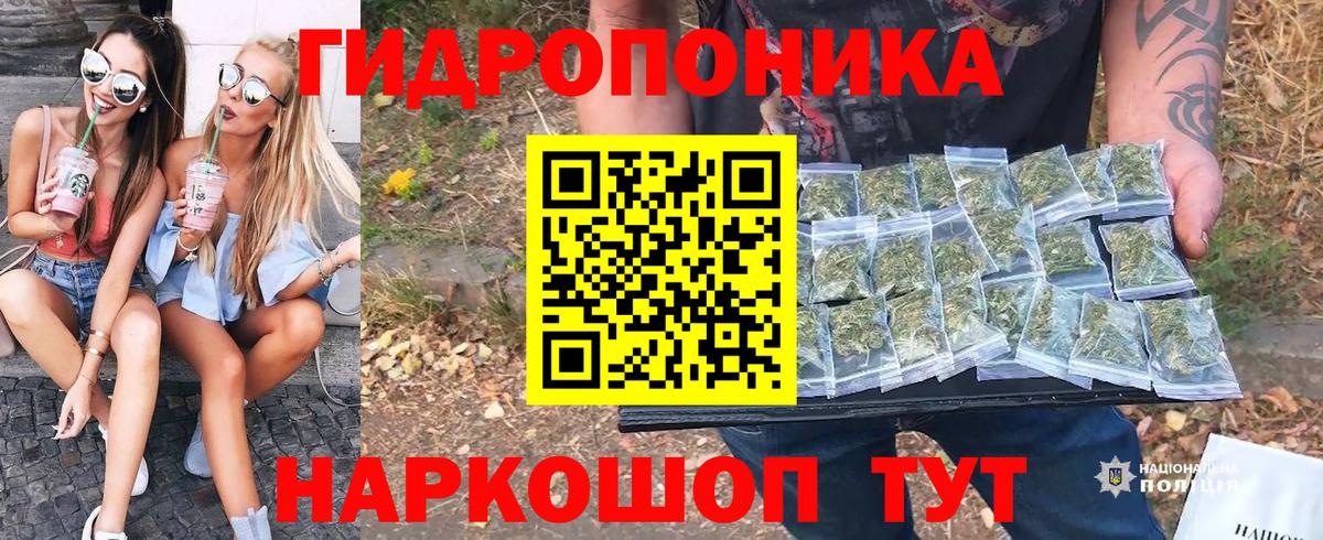 Канабис семена  Бошки Шишки семена  Марихуана Bruce Banner  Конопля Bruce Banner  Вход с VPN  Отрадное 